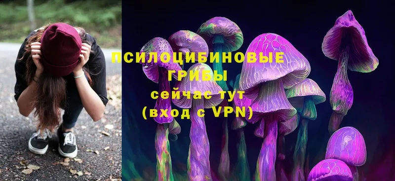 где купить наркотик  Анадырь  KRAKEN онион  Псилоцибиновые грибы Psilocybine cubensis 